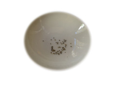 Blaue Lilie / Blauer Lotus - Samen