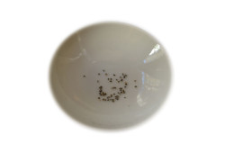 Blaue Lilie / Blauer Lotus - Samen