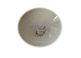 Blaue Lilie / Blauer Lotus - Samen