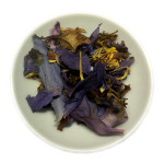 Blaue Lilie / Blauer Lotus