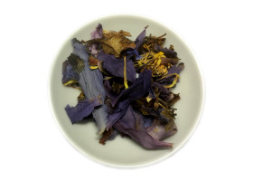 Blaue Lilie / Blauer Lotus