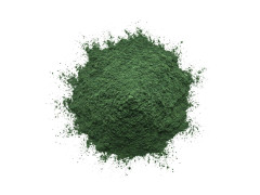 Chlorella Pulver BIO