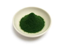 Chlorella Pulver BIO
