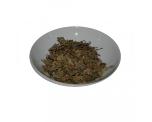 Gotu Kola
