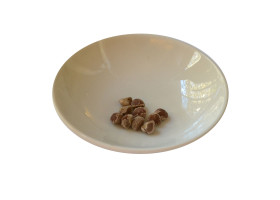 Hawaiianische Holzrose