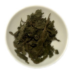 Salvia divinorum Blätter