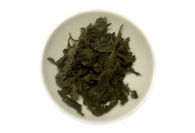 Salvia divinorum Blätter