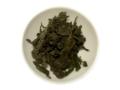 Salvia divinorum Blätter