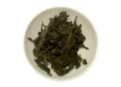 Salvia divinorum Blätter