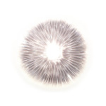 Cubensis China Yunnan Abdruck