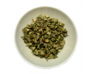 Tribulus terrestris