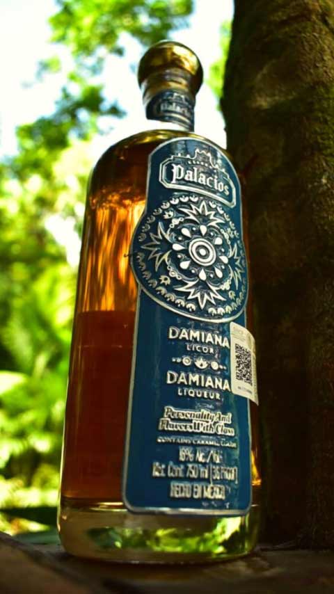 damiana likör flasche
