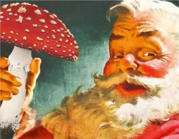 fliegenpilz weihnachtsmann