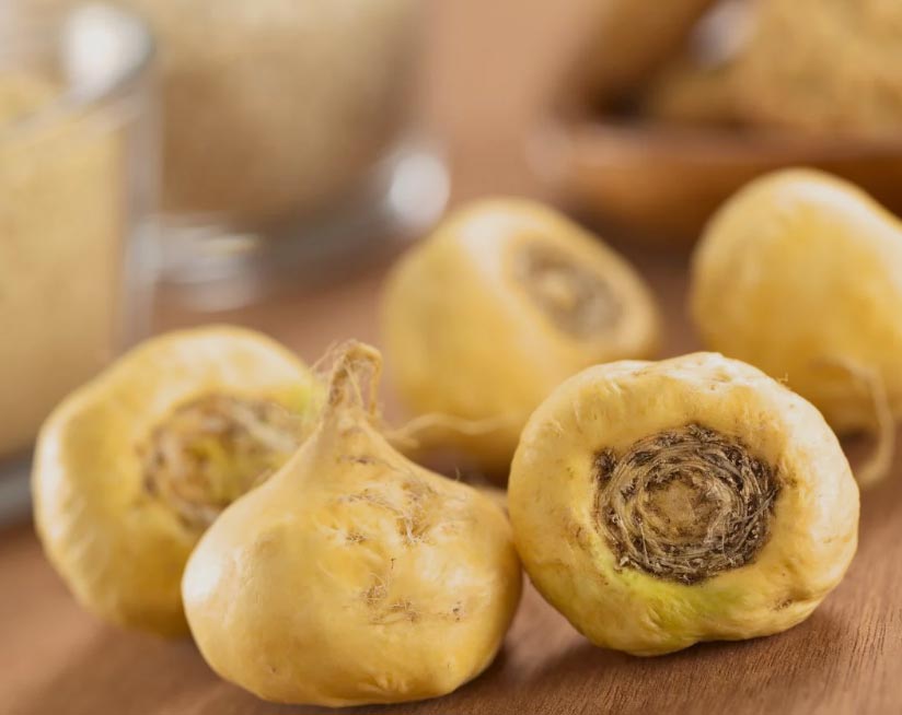 Maca Knollen